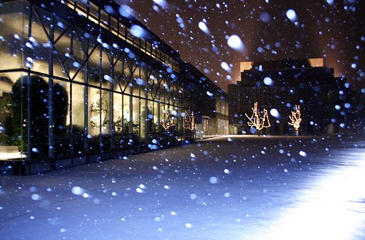 雪降る夜