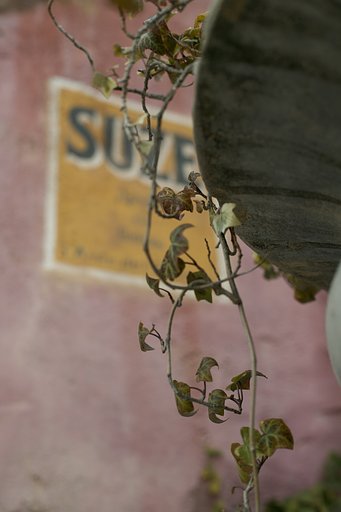 SUMMILUX-R50mm(2nd)
