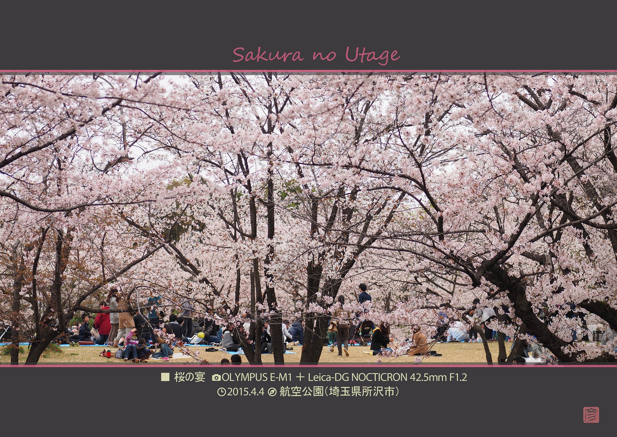 桜の宴