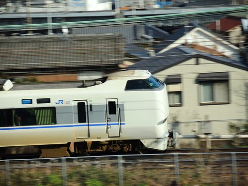 やっと　撮るコツがわかったのだ