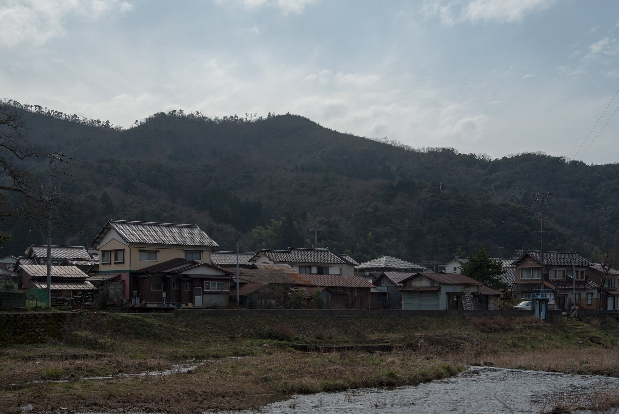 橋のたもとから・・。