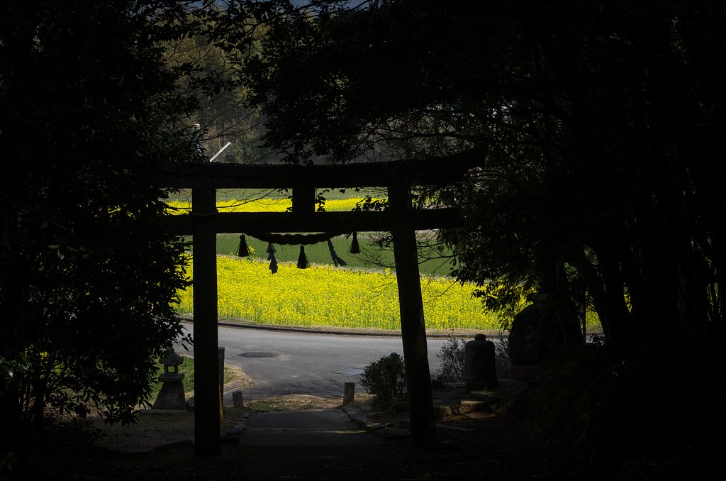 鎮守の杜