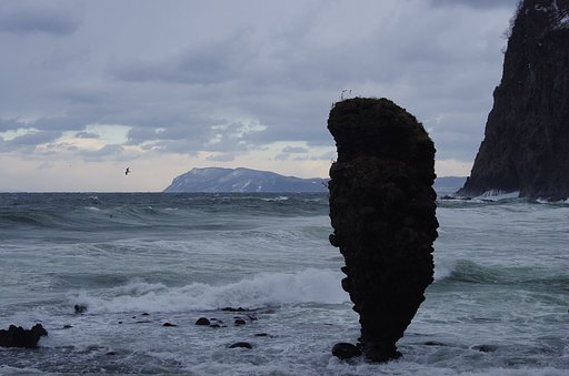 前浜