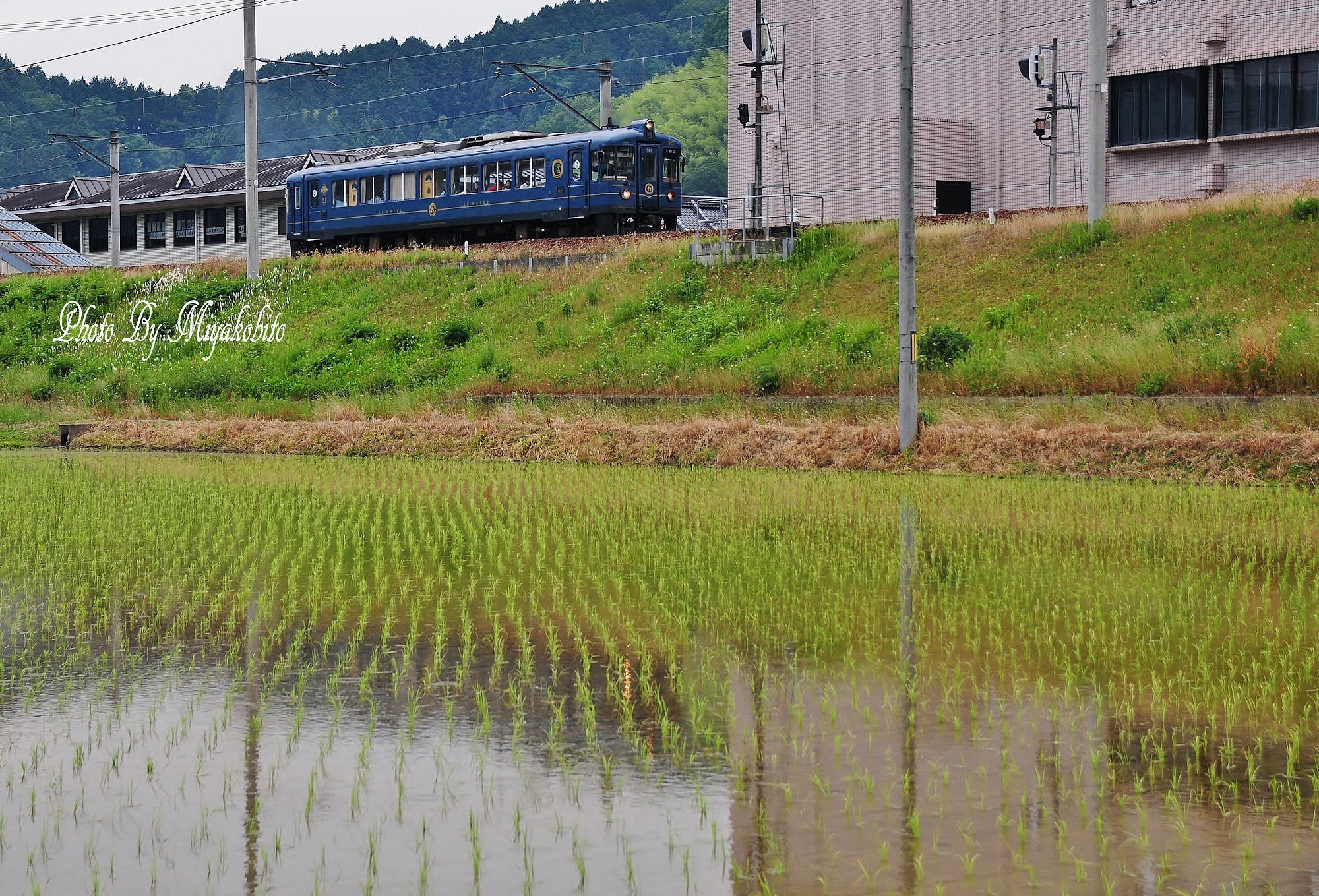 梅雨空の下