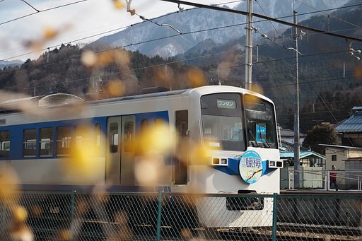 急行「蝋梅」