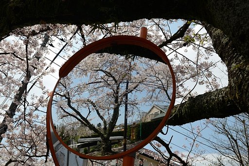 映る