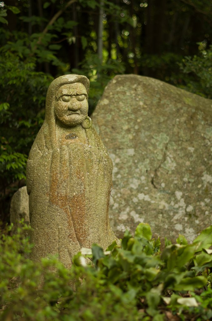 達磨