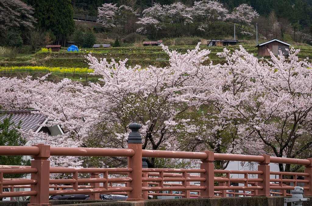 盆地