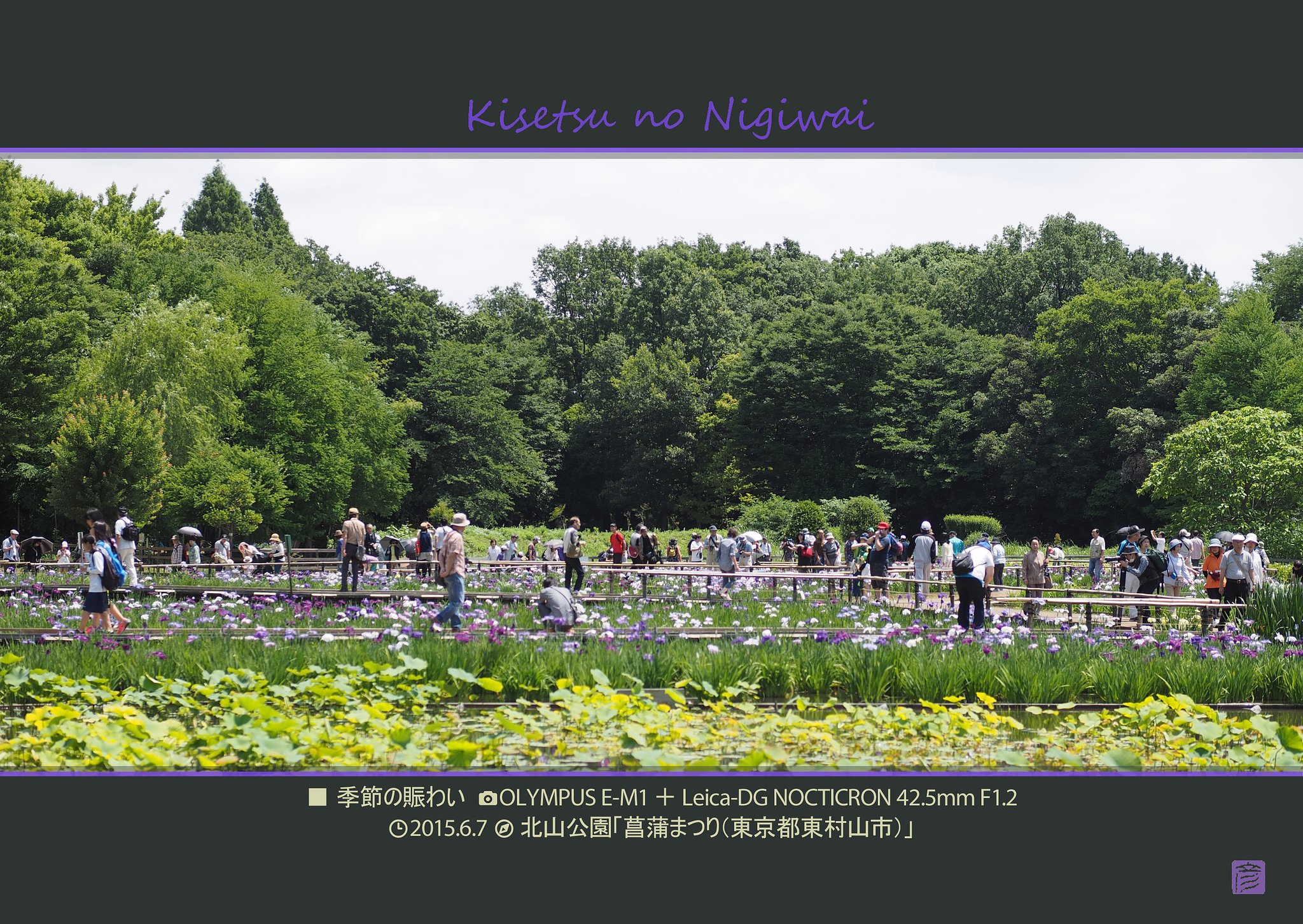 季節の賑わい