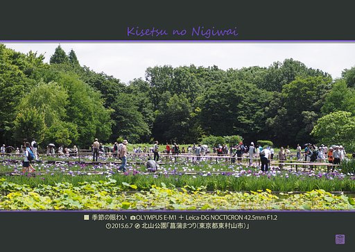 季節の賑わい