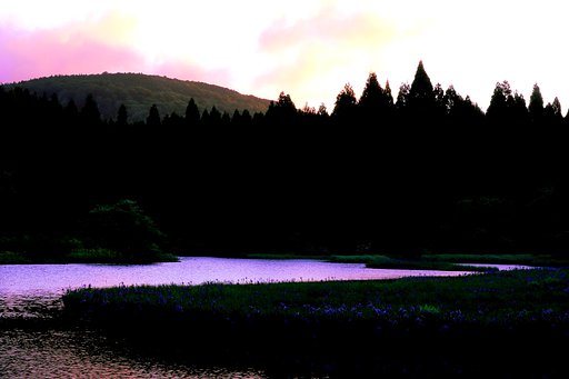 平池の目覚め