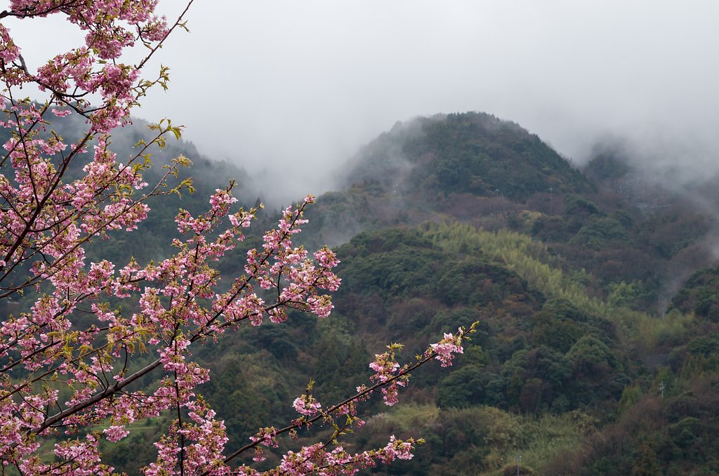 雨霧