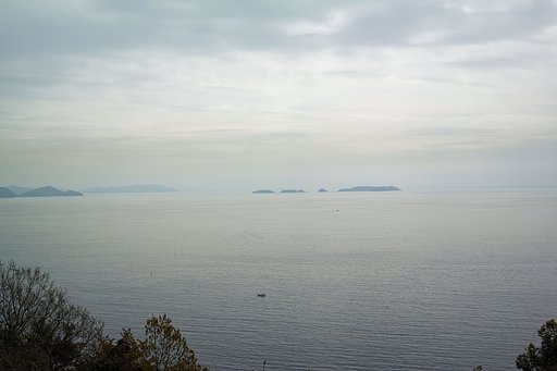 素子