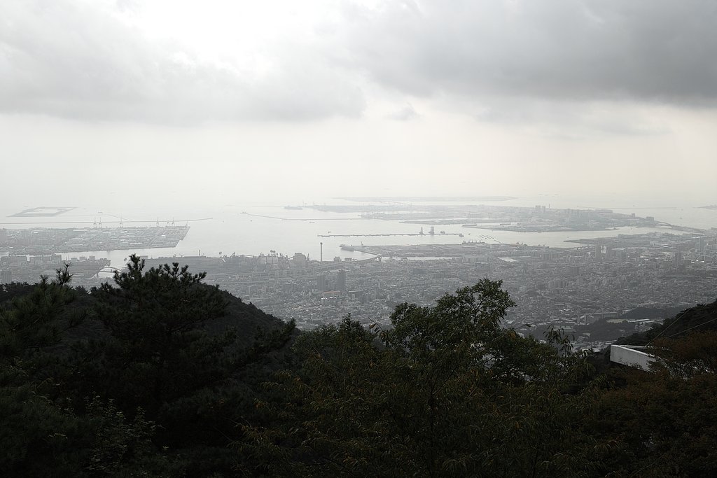 海