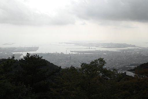 海