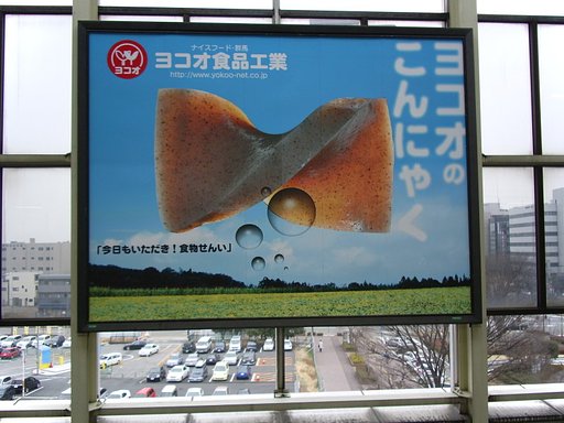 参った．．．m(__)m