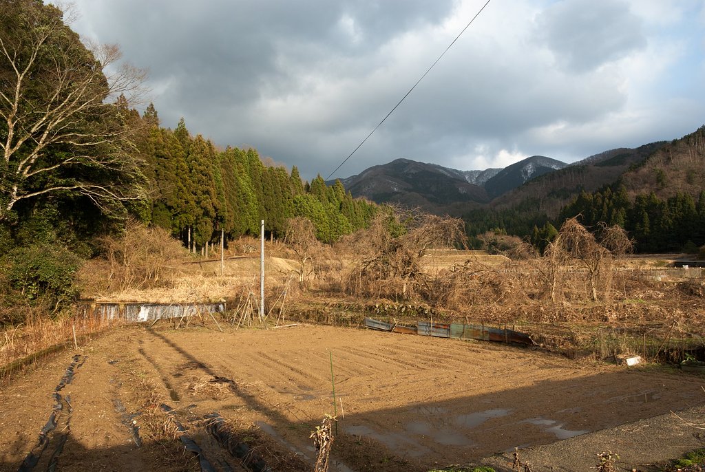 良く晴れてきました。