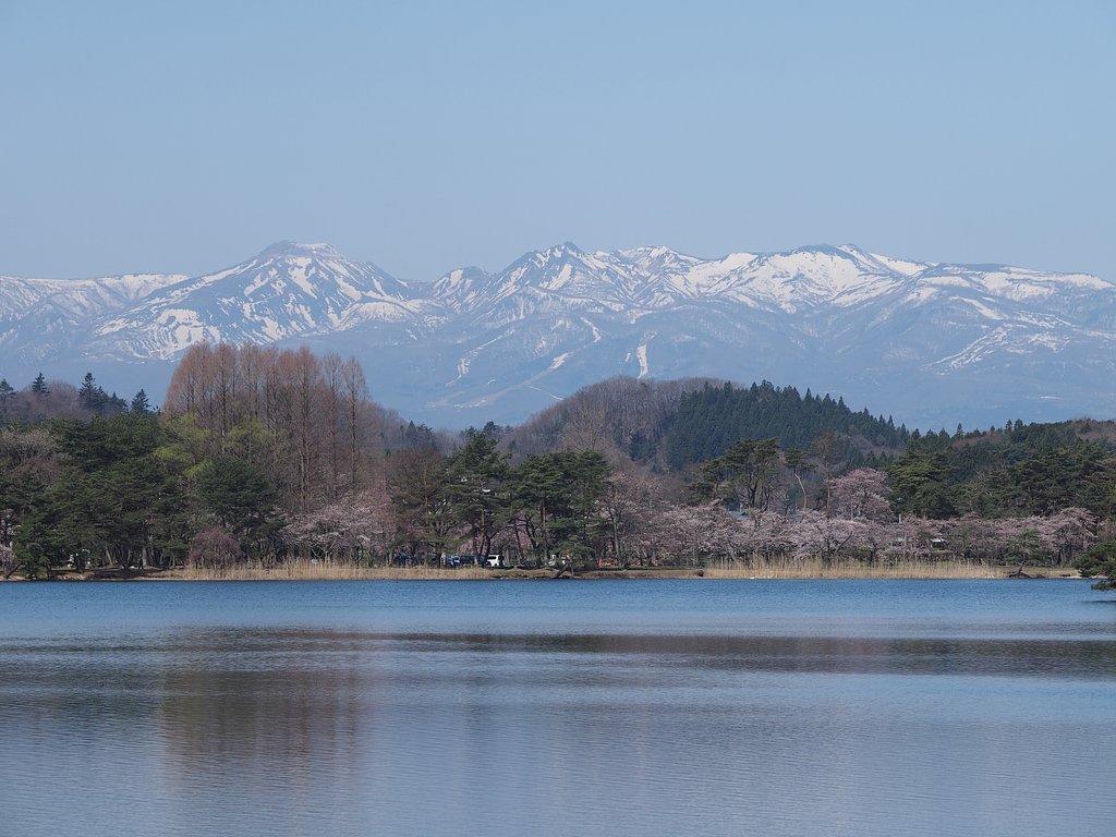 南湖の浅い春