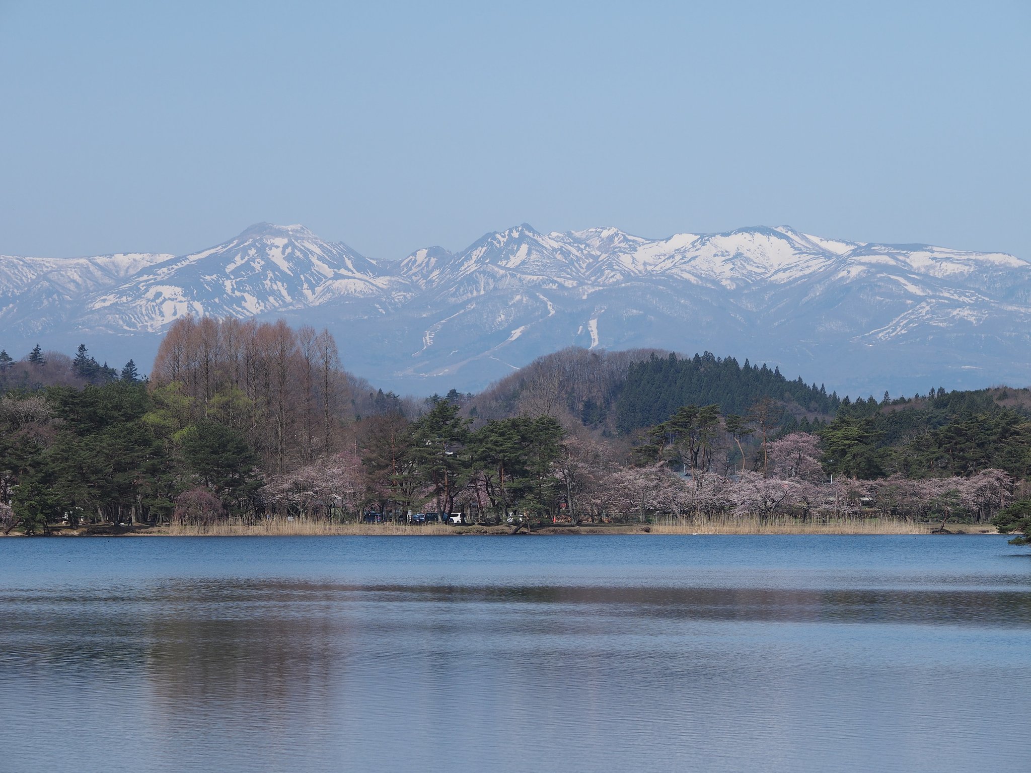 南湖の浅い春