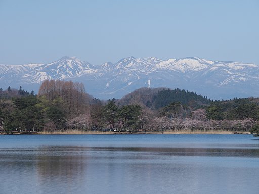 南湖の浅い春