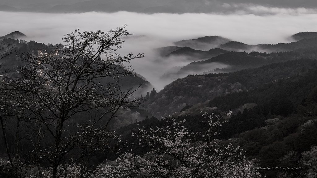 吉野