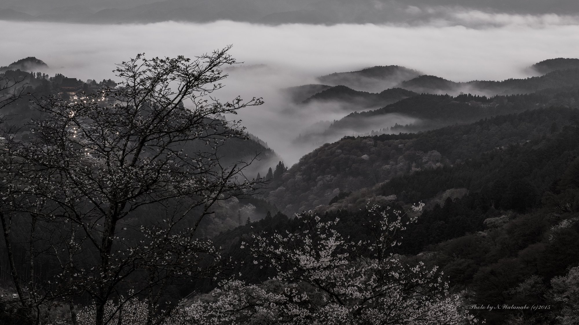 吉野