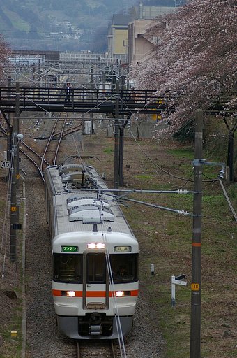 山北桜