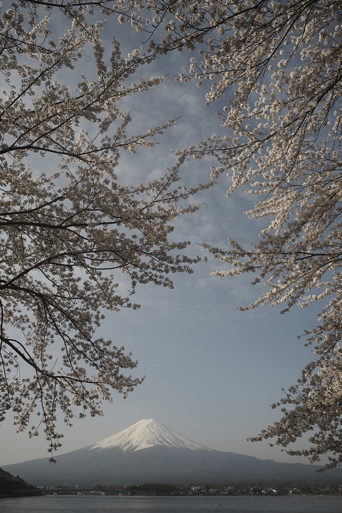 Distagon 1:2.8 f=25mm
