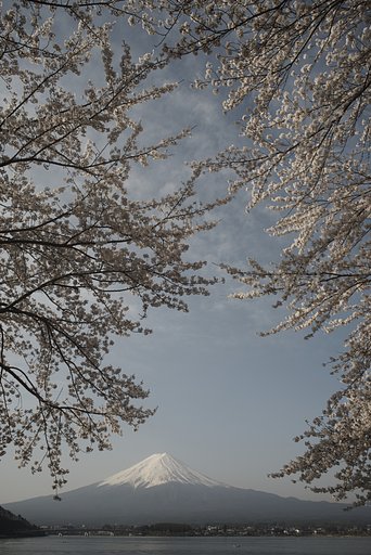 Distagon 1:2.8 f=25mm
