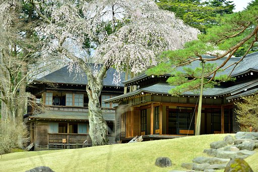 枝垂桜in日光田母沢