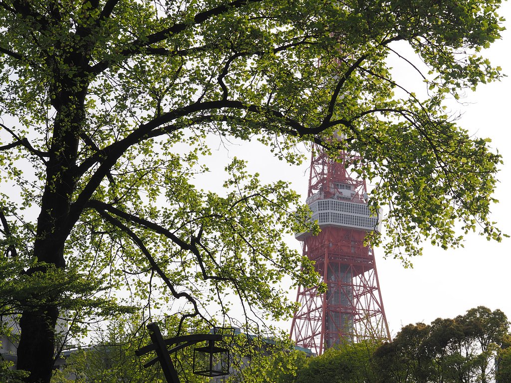 樹齢57年