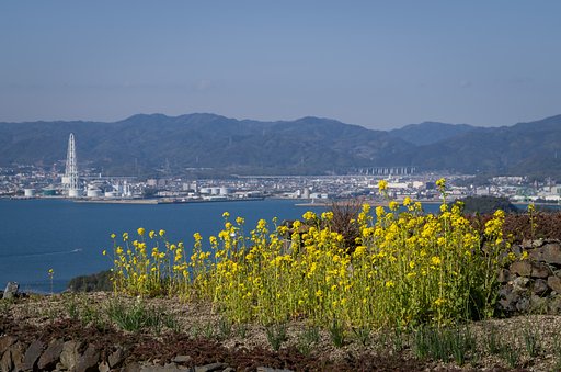 SIGMA 17-70mm F2.8-4 DC MACRO 