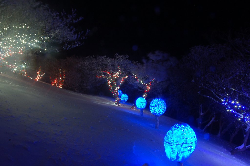 夜の樹氷