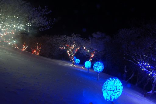 夜の樹氷