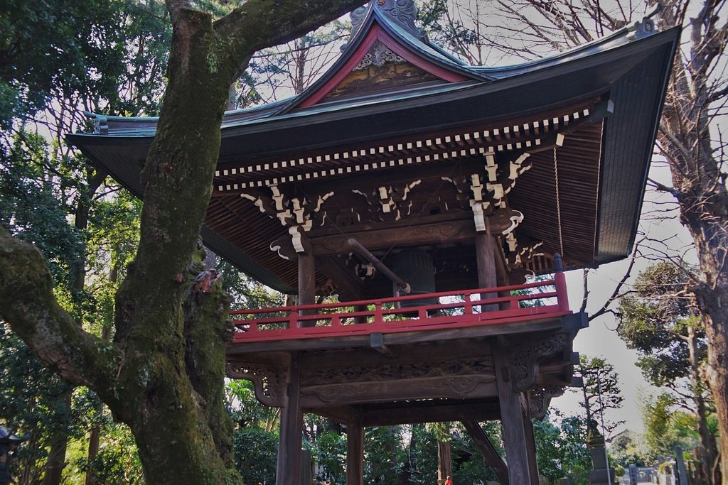 狛江、泉龍寺