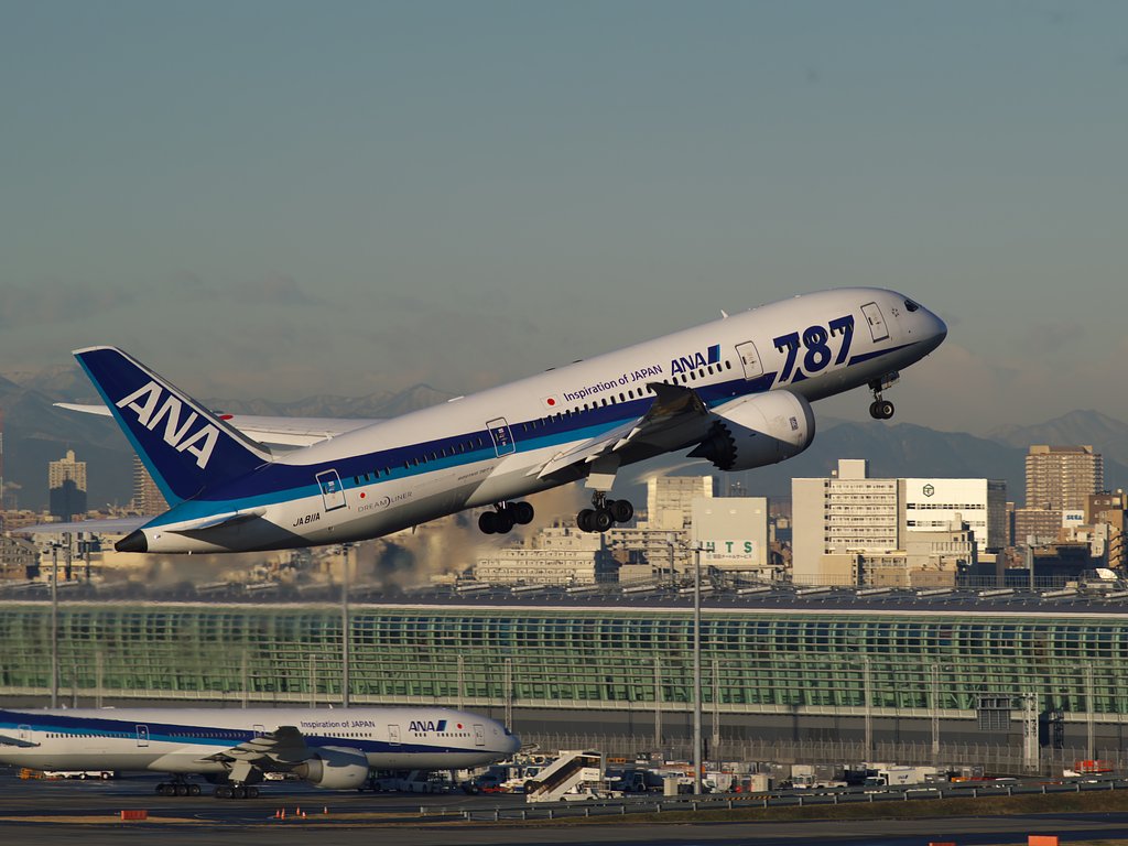 ハミングバード便の787