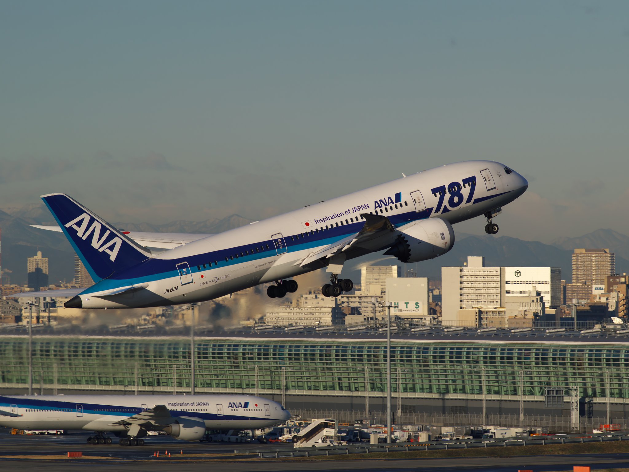 ハミングバード便の787