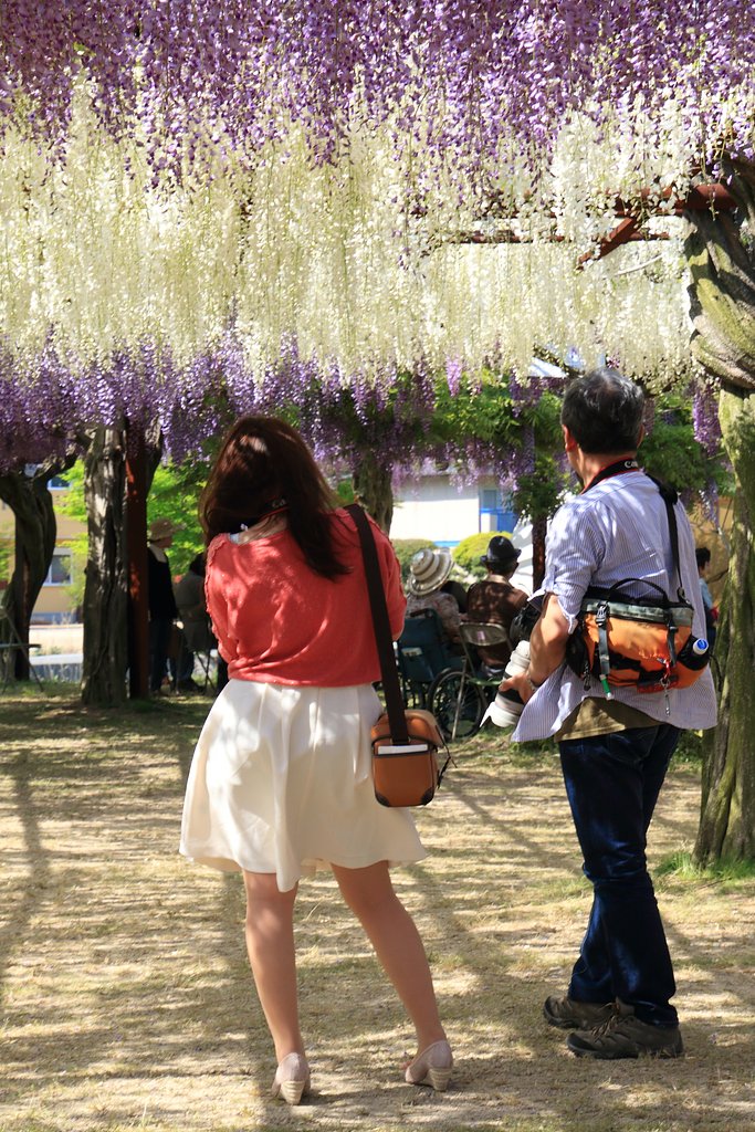 【美学】継承
