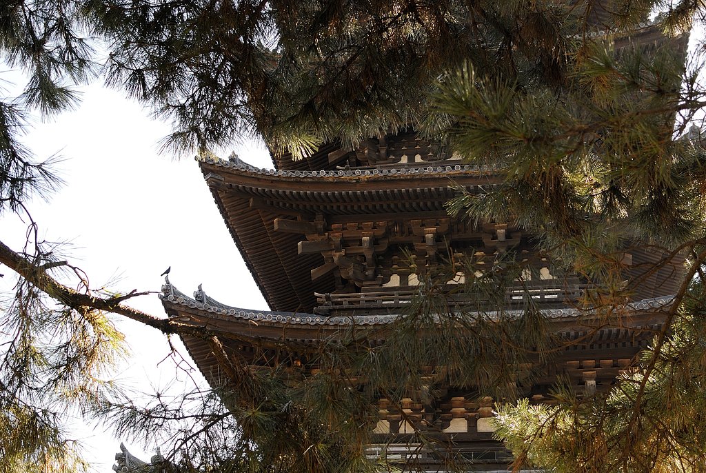 興福寺　五重塔