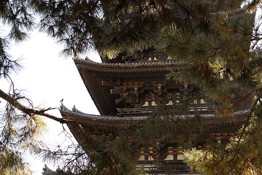 興福寺　五重塔
