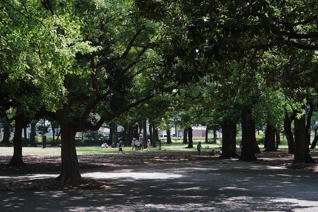 蘆花公園にて