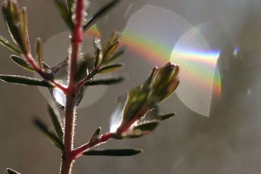 Rainbow colore