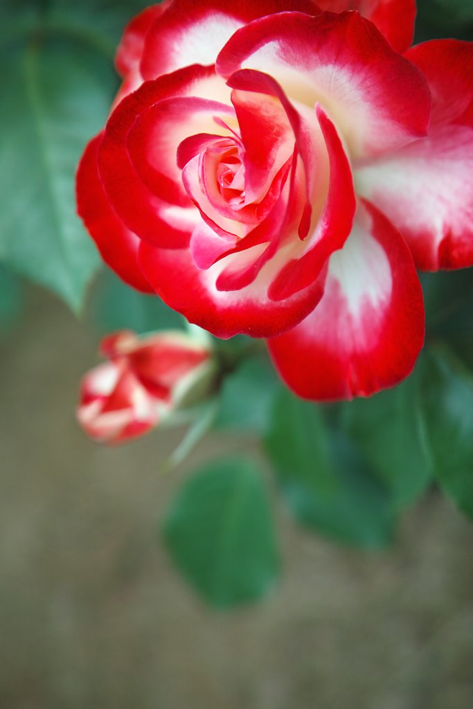 密やかに