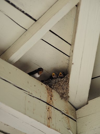 鳴りやまぬアンコール