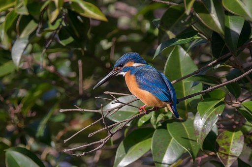 日差しを浴びて２