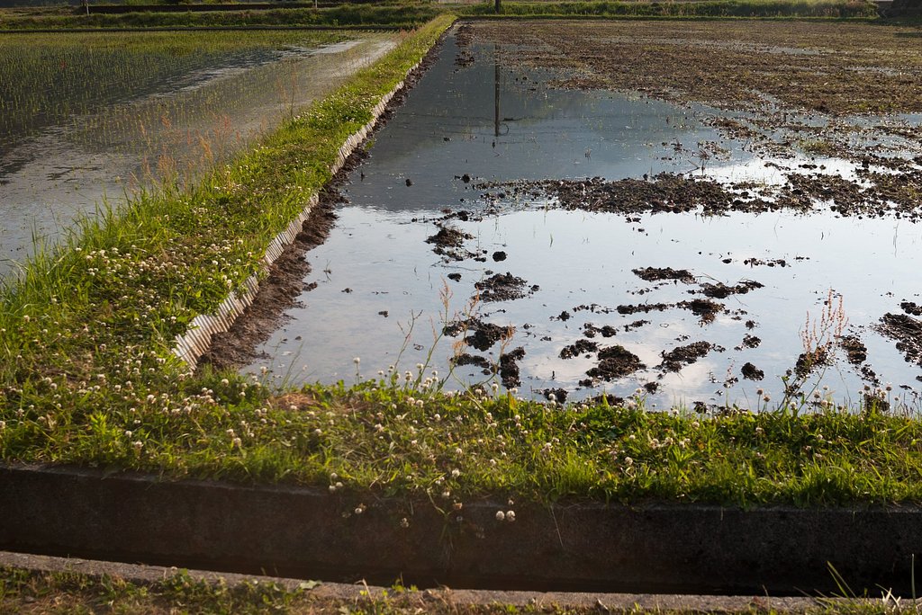 大きな水たまり。