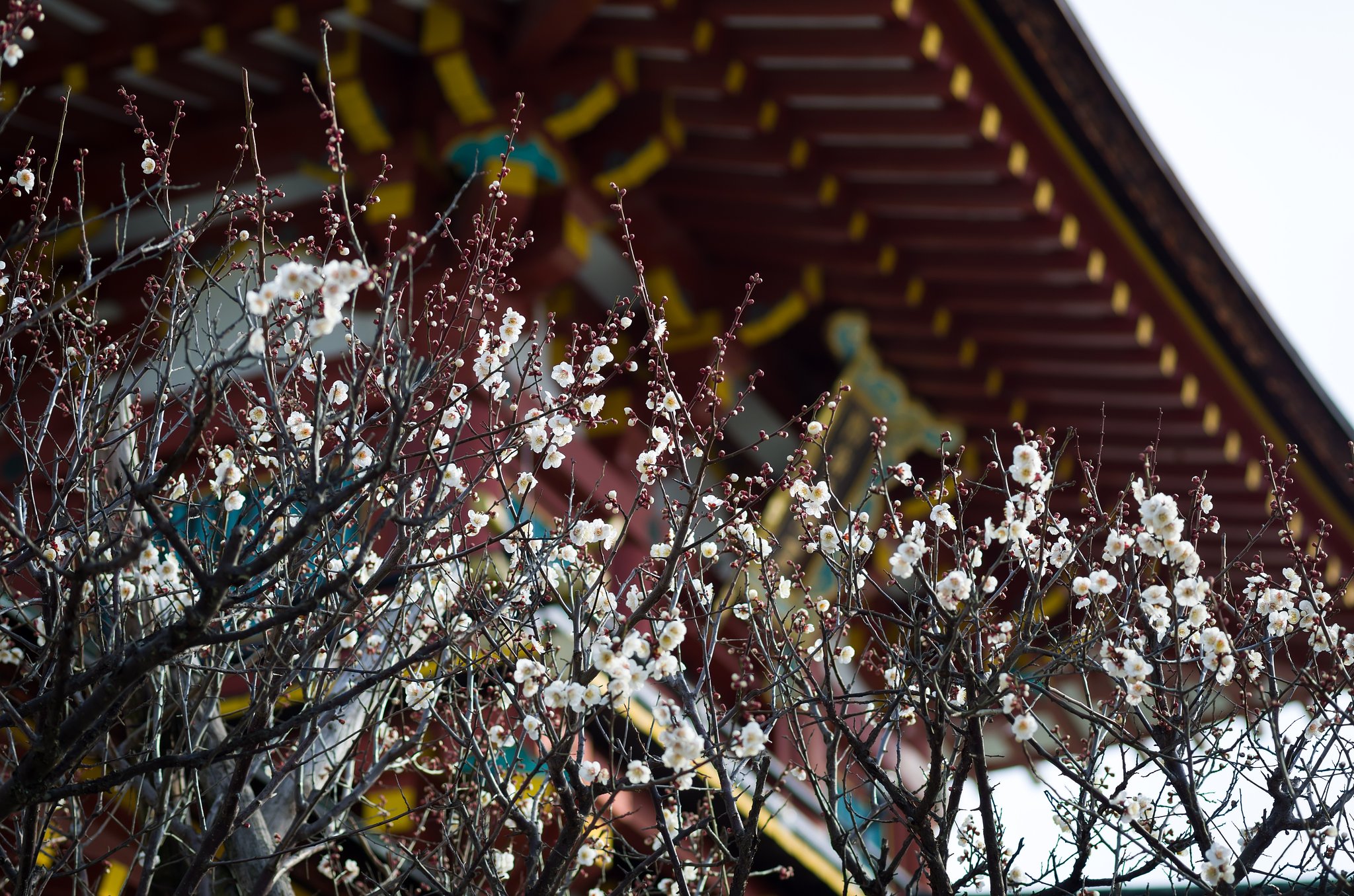 天神様