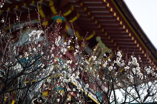 天神様
