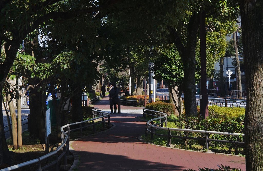 ユリノキ公園