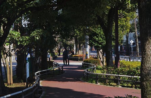 ユリノキ公園